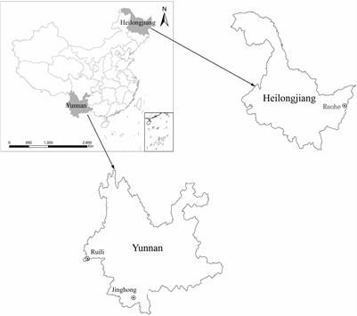 Viral Metagenomics Analysis of Rodents From Two Border Provinces Located in Northeast and Southwest China